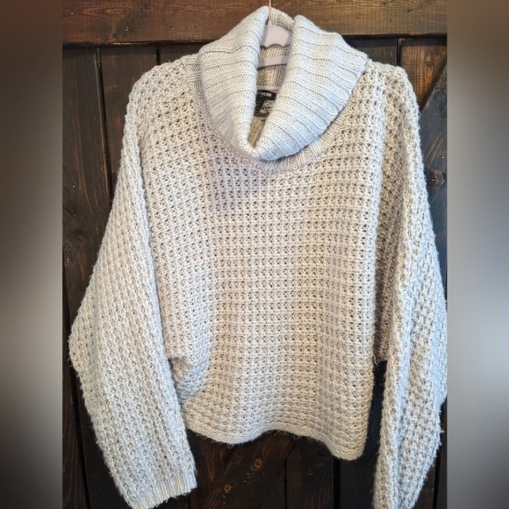 Light Grey Express sweater